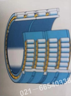 SKF特殊應(yīng)用軸承